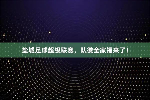 盐城足球超级联赛,队徽全家福来了!